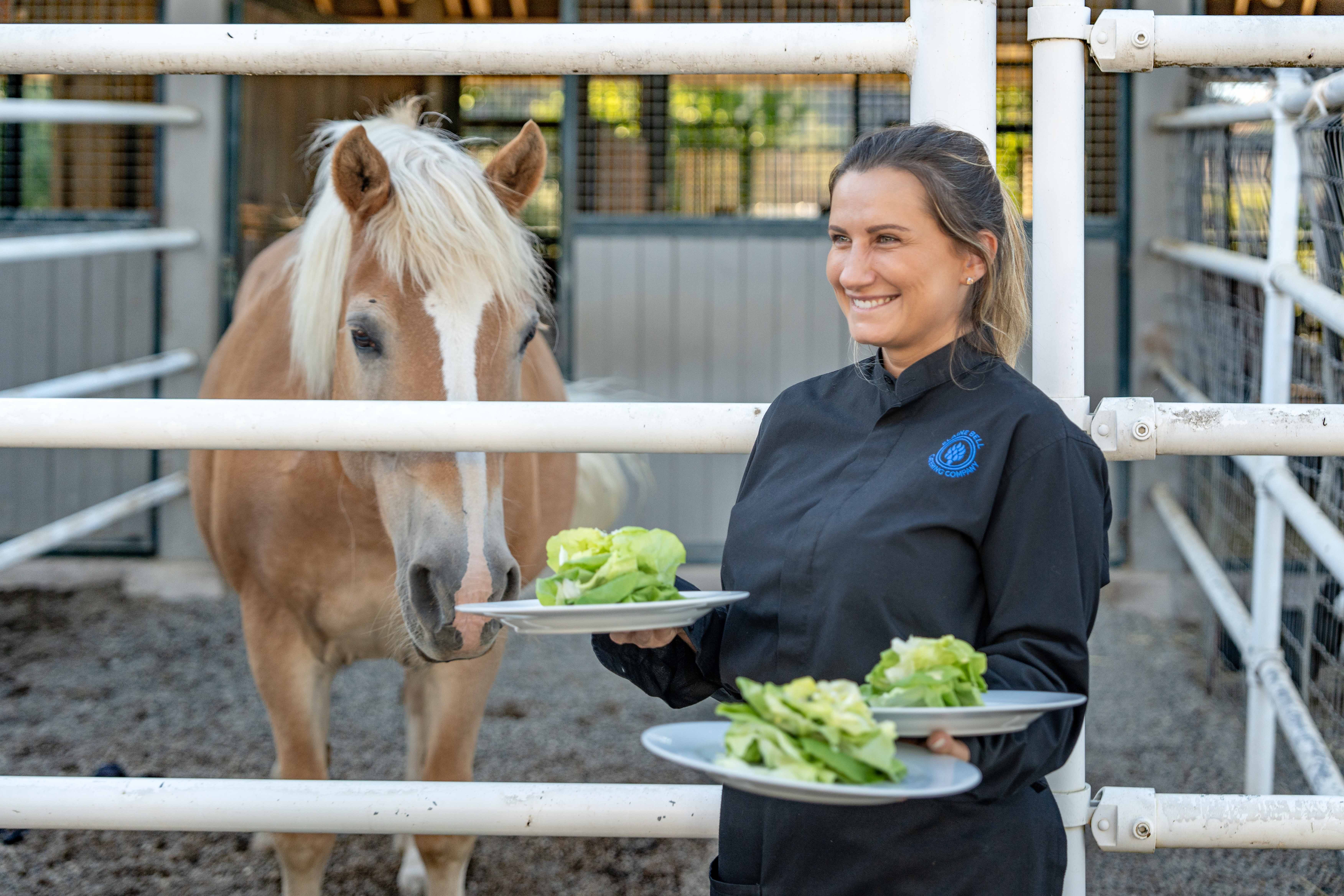 Sunrise Horse Rescue fundraiser a boost to equine welfare