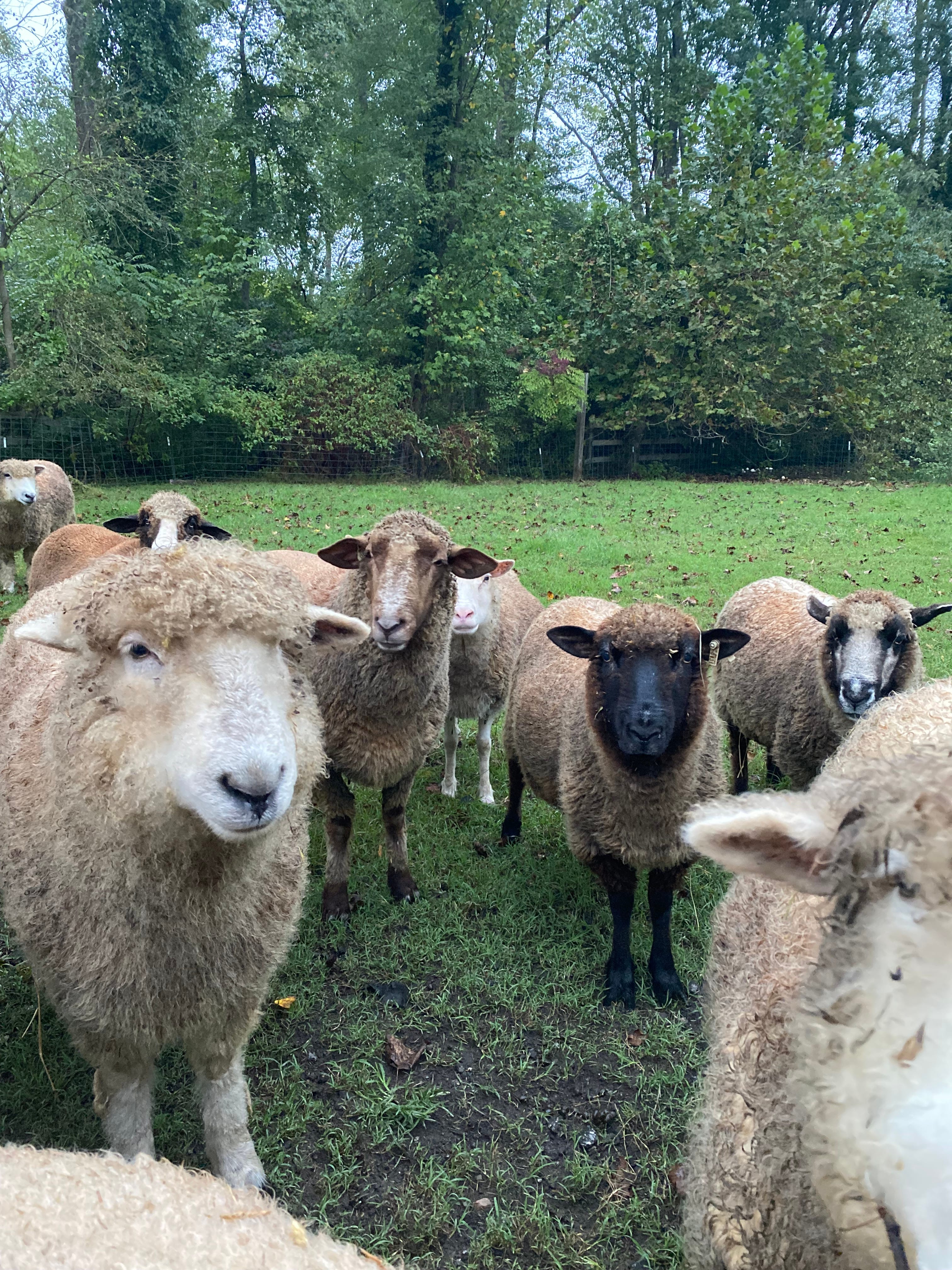 Waiting for the Glimmers of Hope by Garman