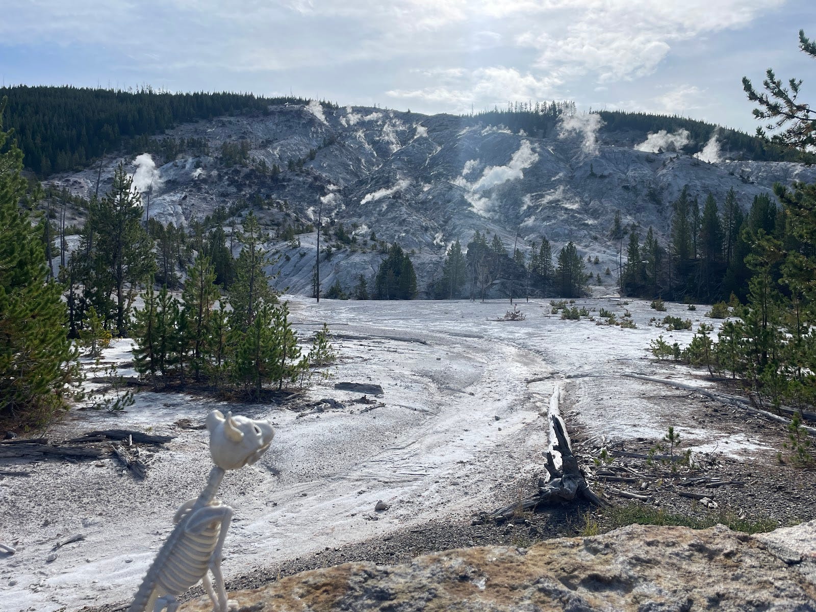 Montana 2024 Road Trip by Bill Steber