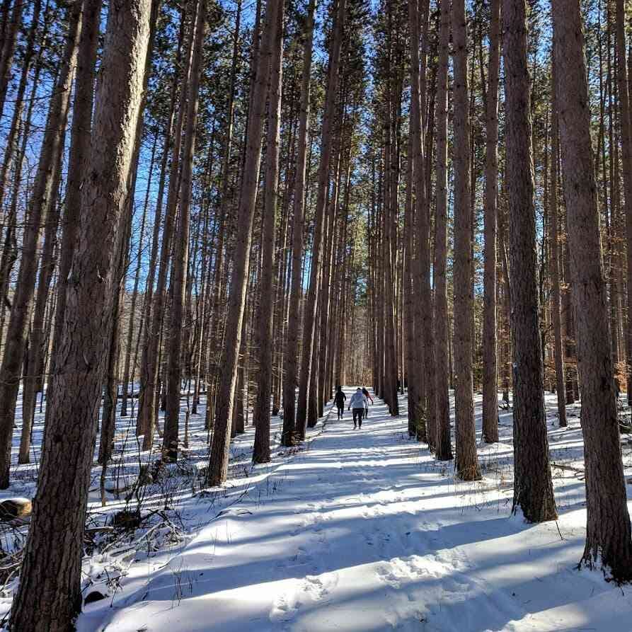 FirstDay Hikes on January 1, 2025