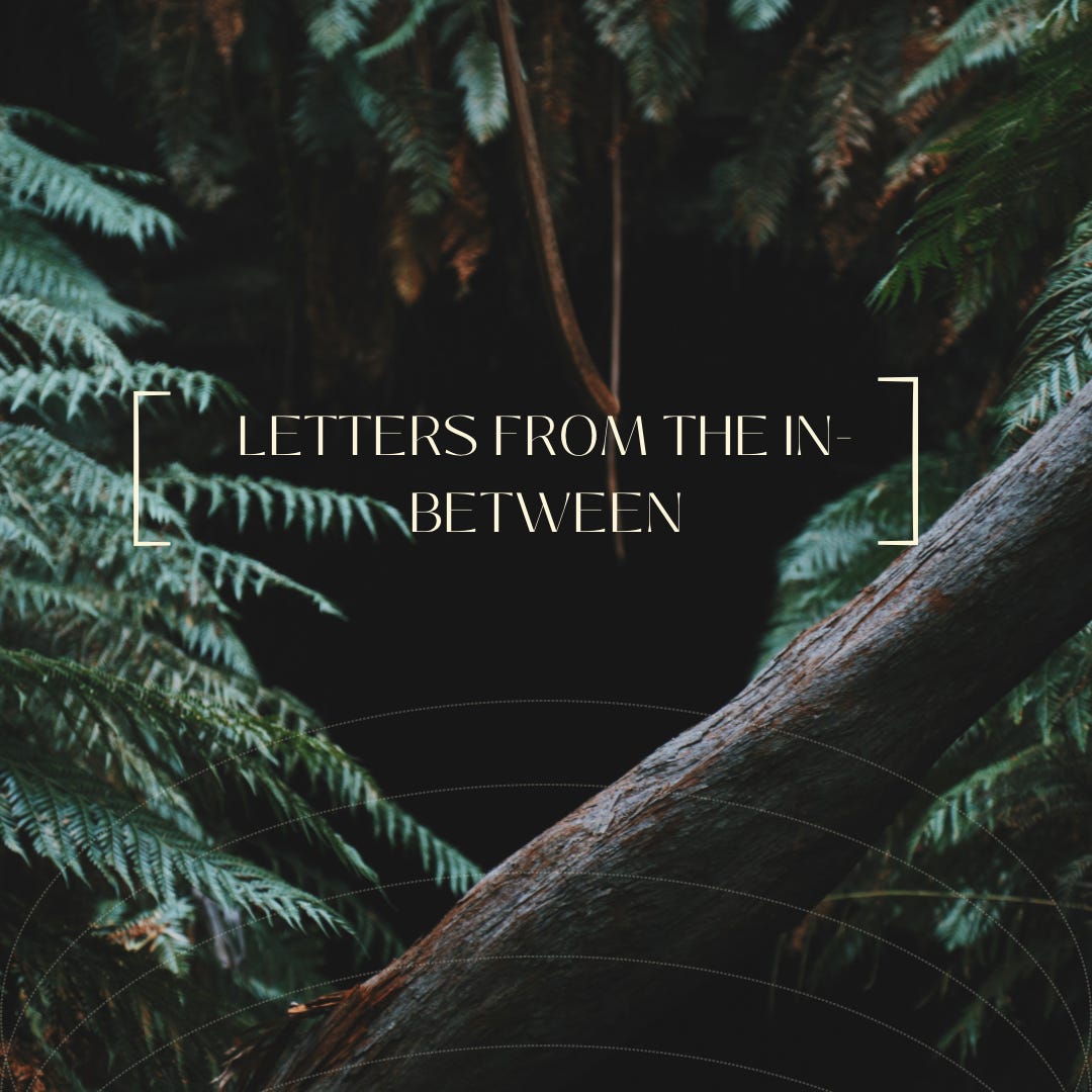 letters from the in-between