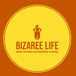 Bizarre Life  logo