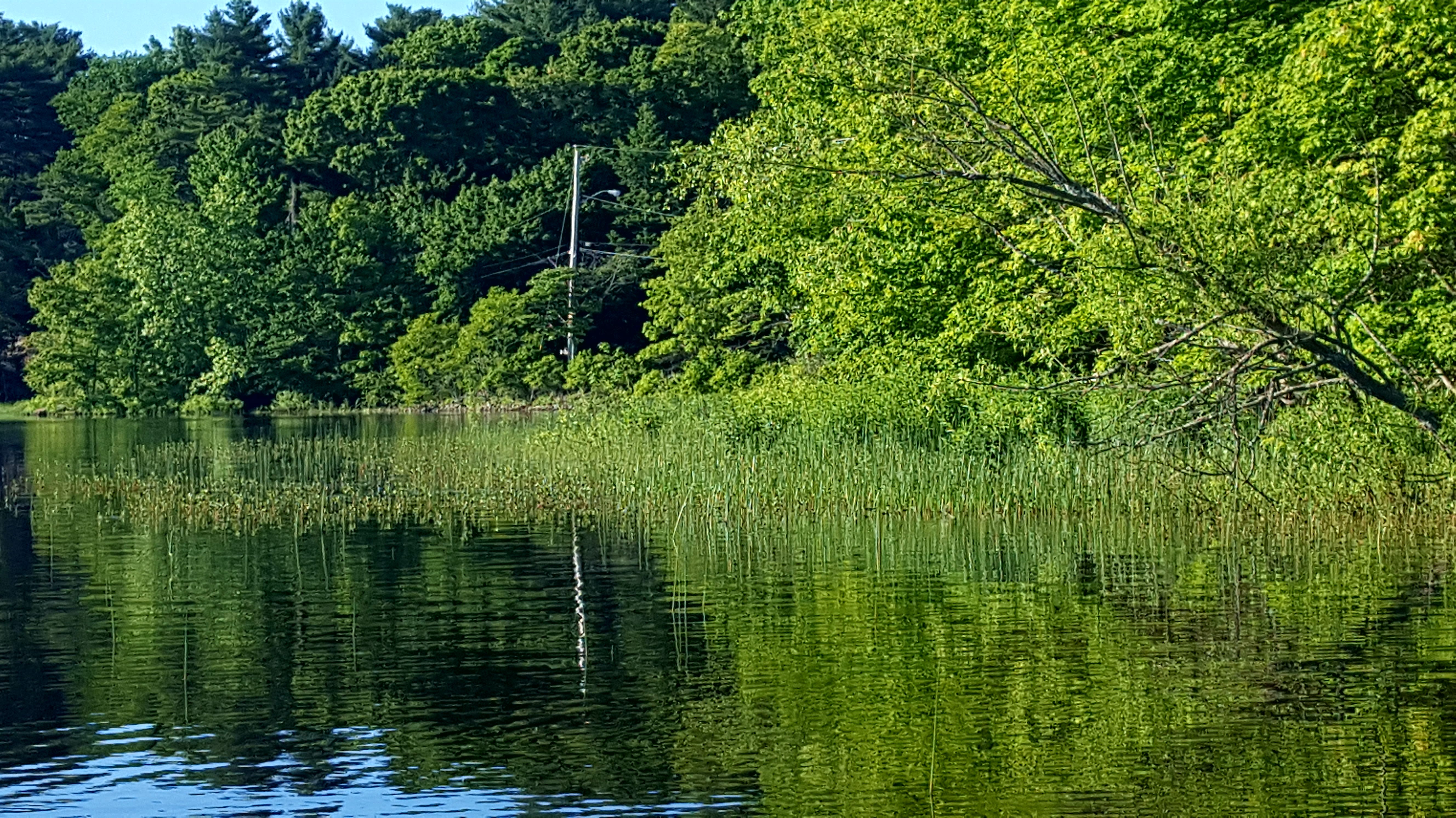 Fishing near East Bridgewater in Plymouth County, Massachusetts