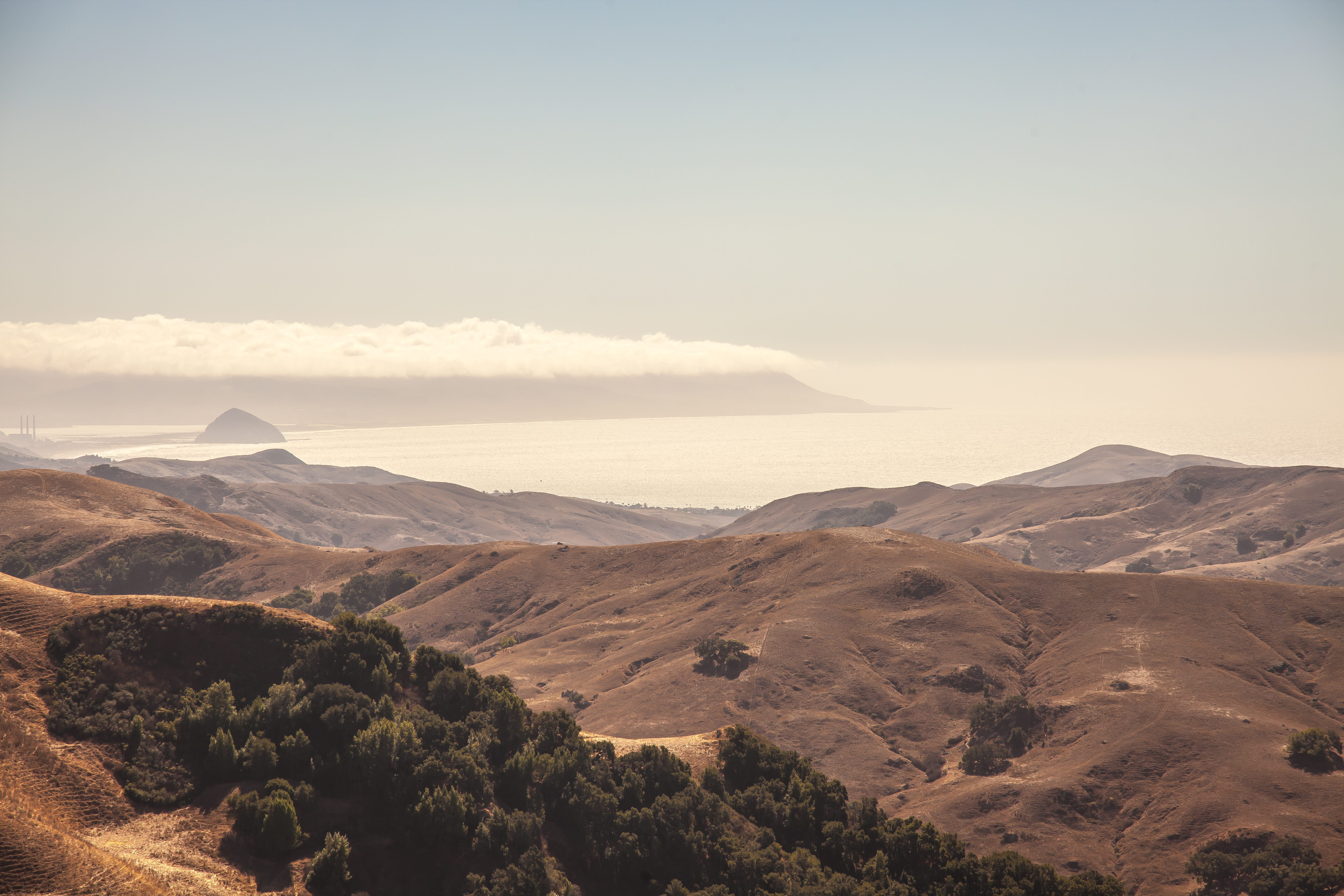 California Dreaming by Heather Inich