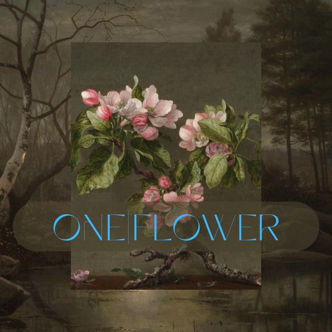 One|Flower logo