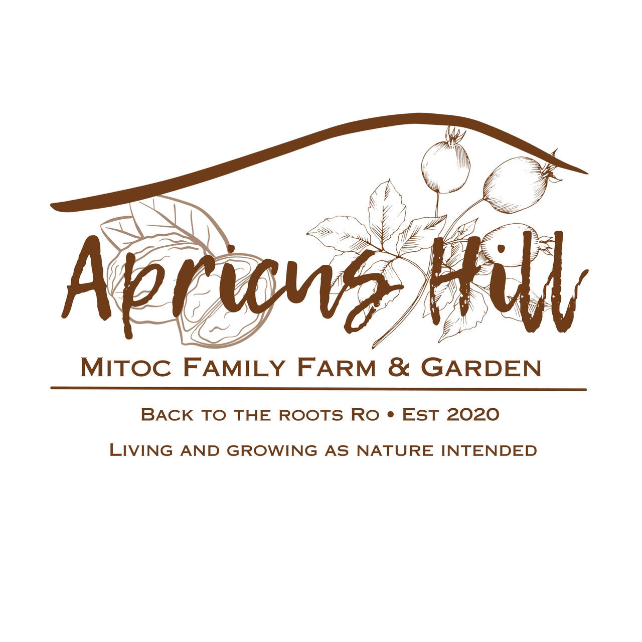 Ally Mitoc — Apricus Hill logo