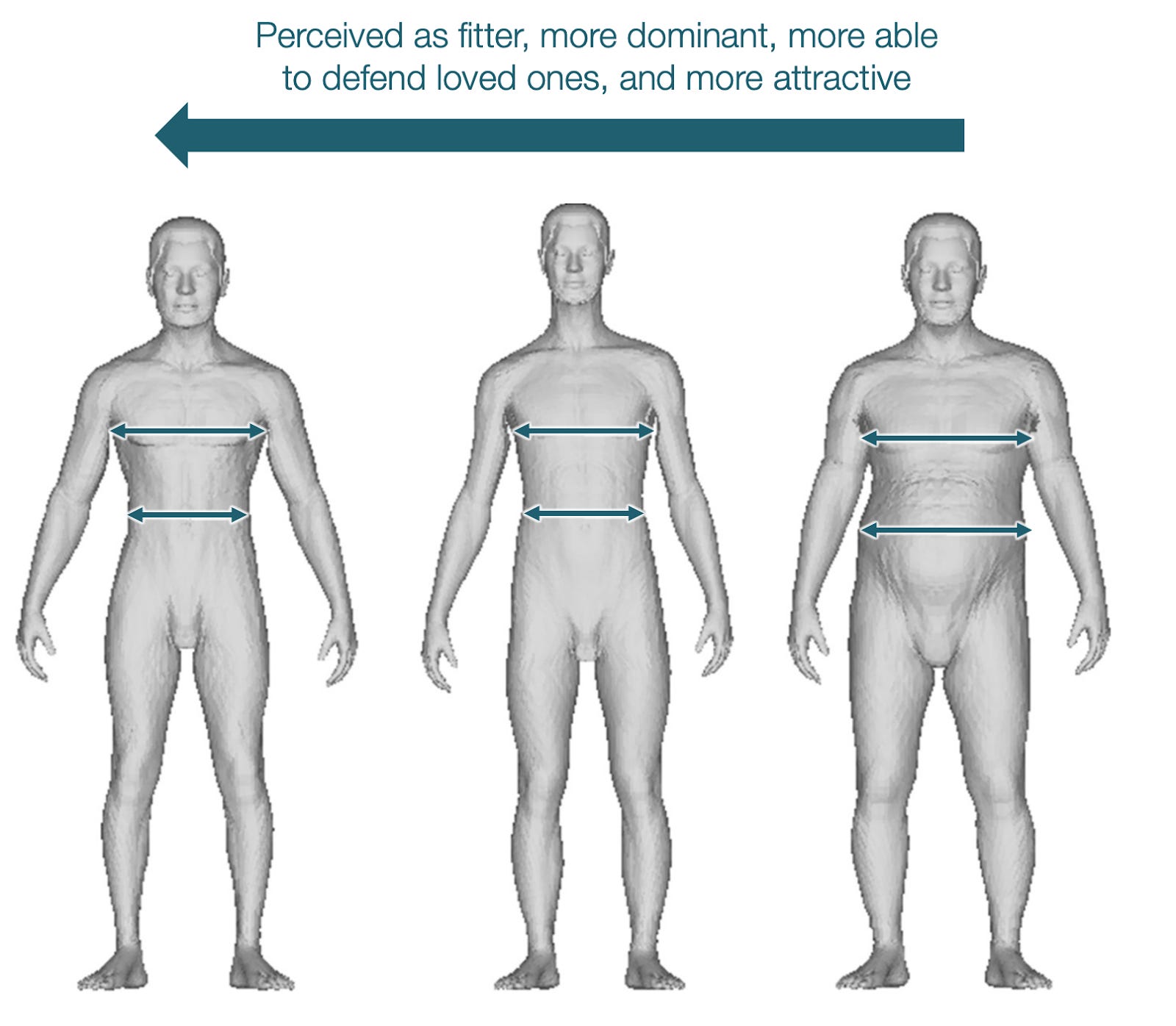 What Makes Men and Women Different? - by Tomas Pueyo