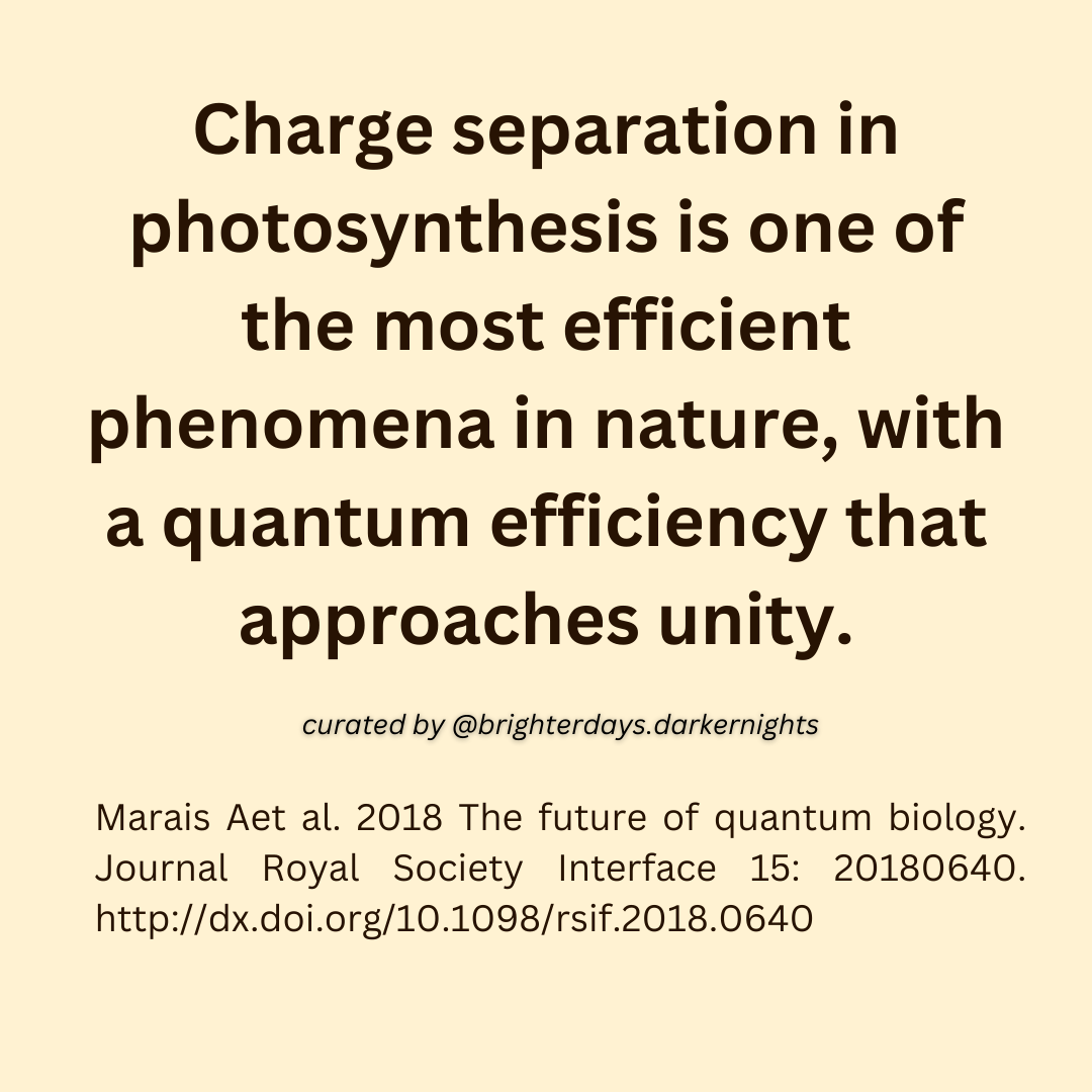 Epigenetics and light at night🚨 - by Nikko Kennedy