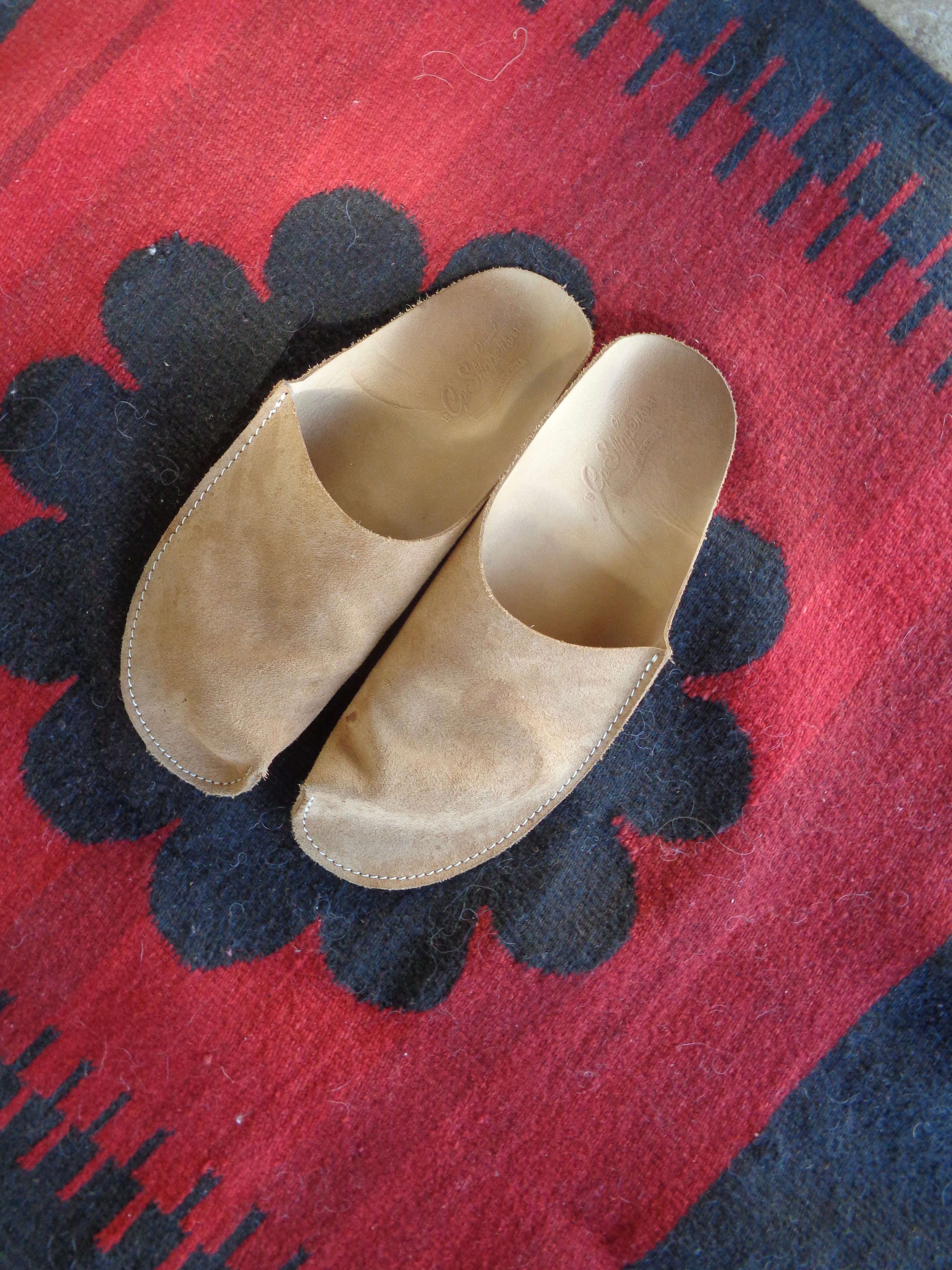The Slippers I'm Taking Everywhere
