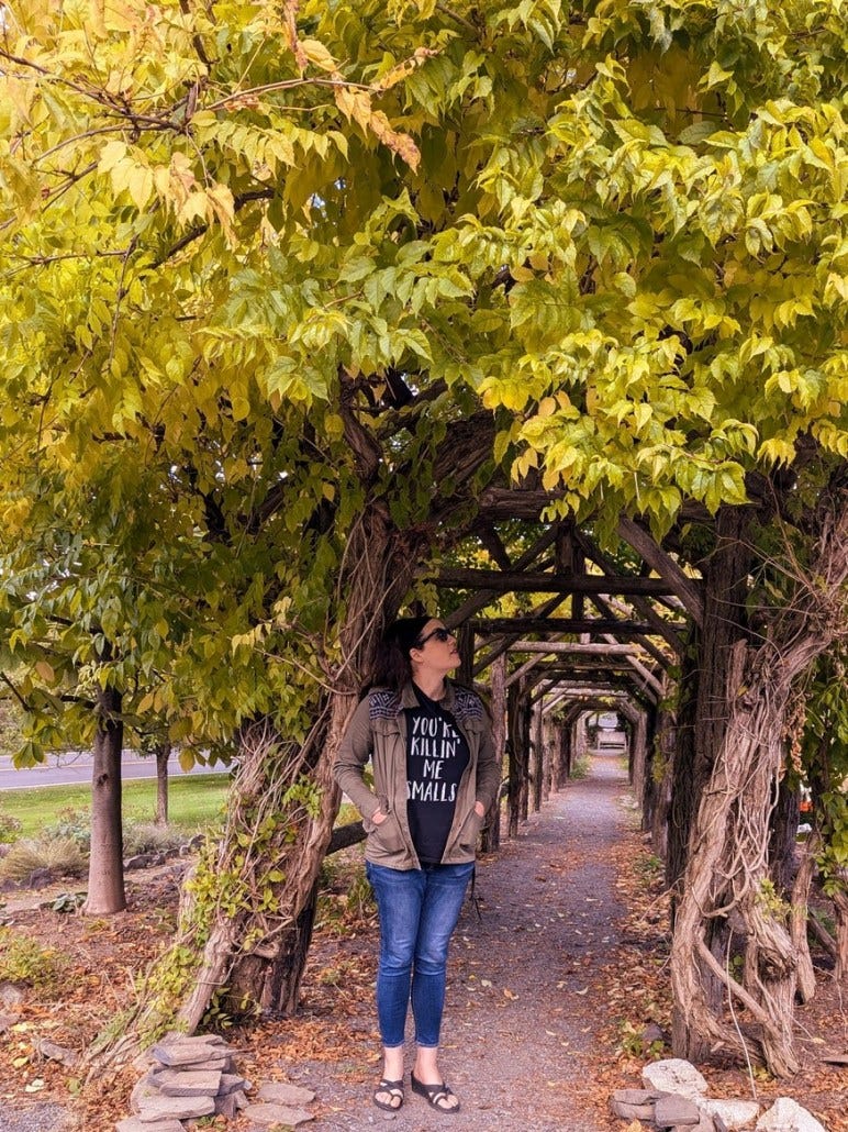 Recap Building Bridges presentation in upstate New York