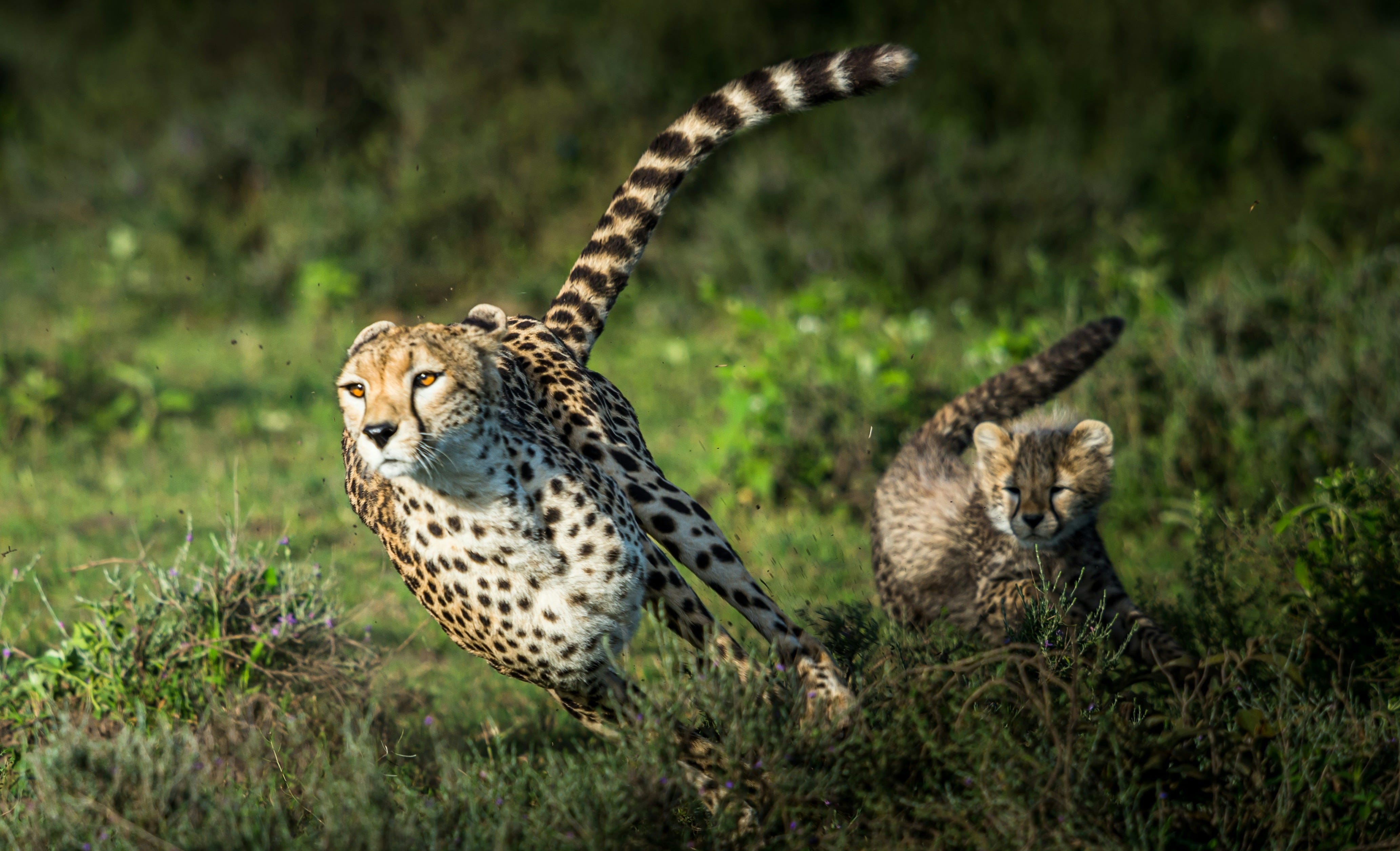 The hidden cost of urgency culture
