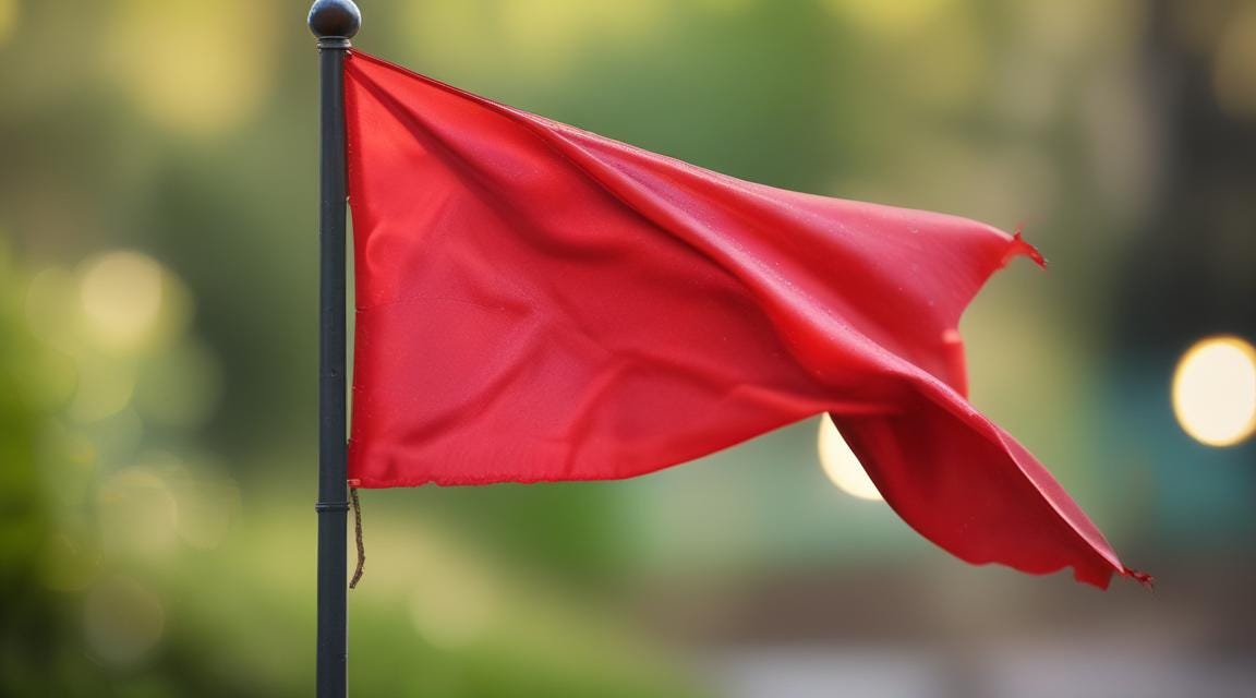 Expectations 101 Key Red and Green Flags You Need to Know