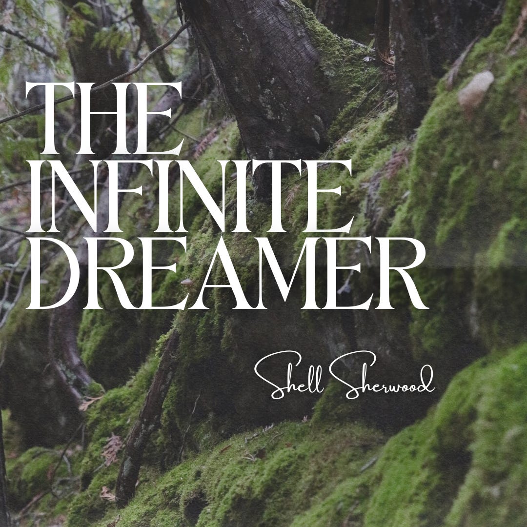 The Infinite Dreamer