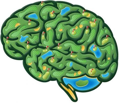 Brian's Brain - United States Golf Teachers Federation