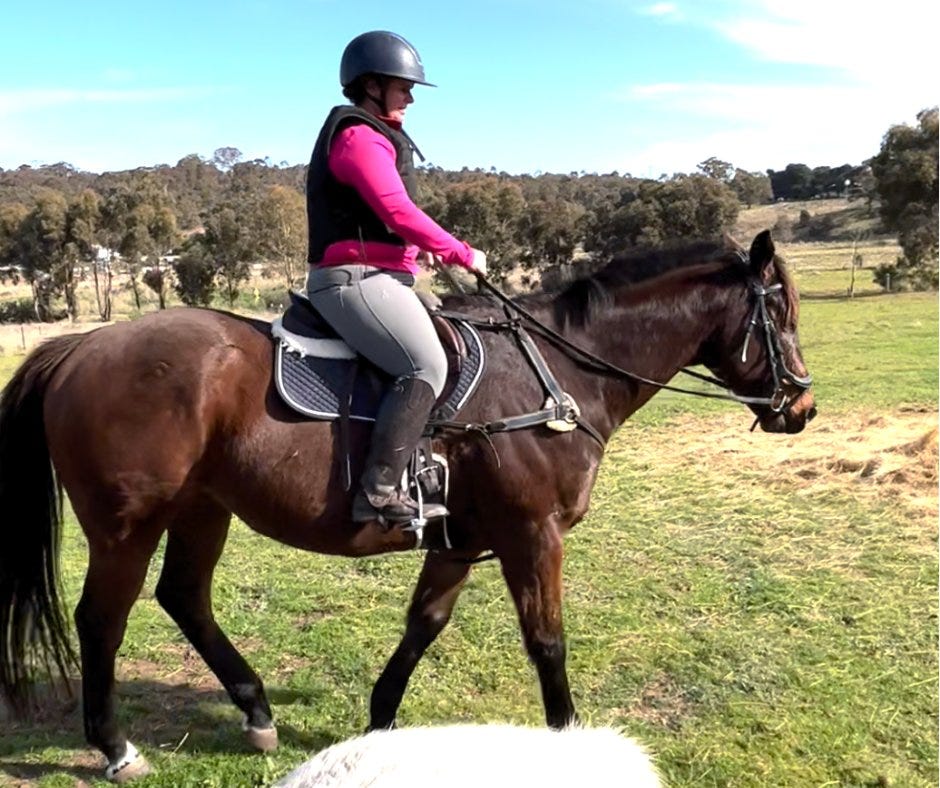 Truck Driving Vs Horse Riding - By Jemima