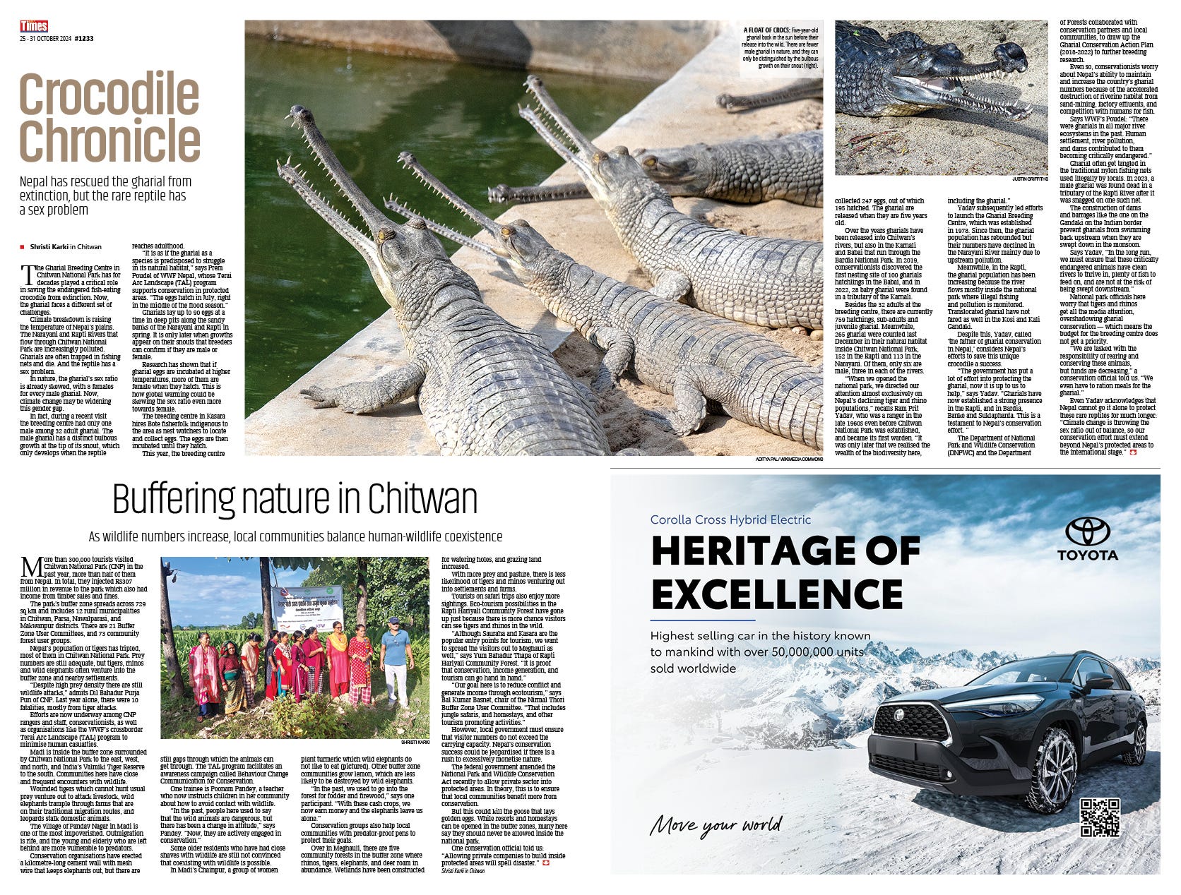 Dogs Are Gods Nepali Times