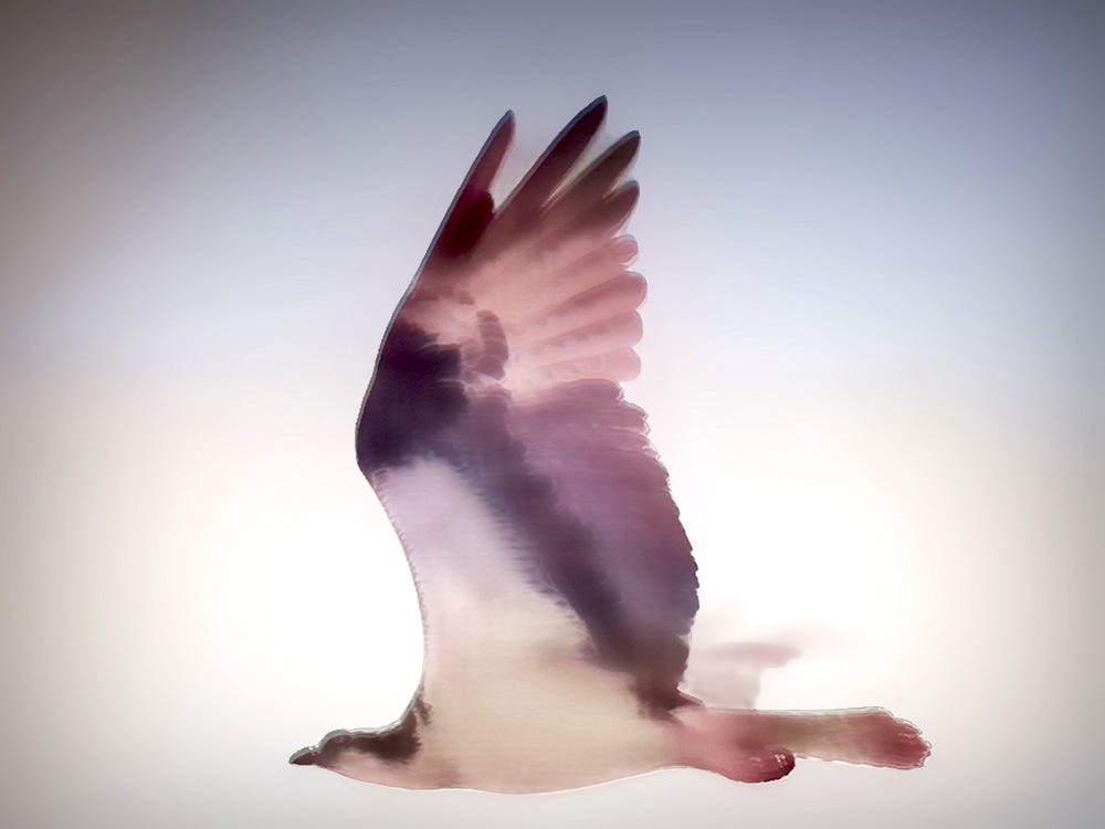 The Angel at Sunrise by Lee Anne Reflections