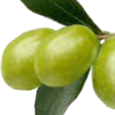 Pass the Olives logo