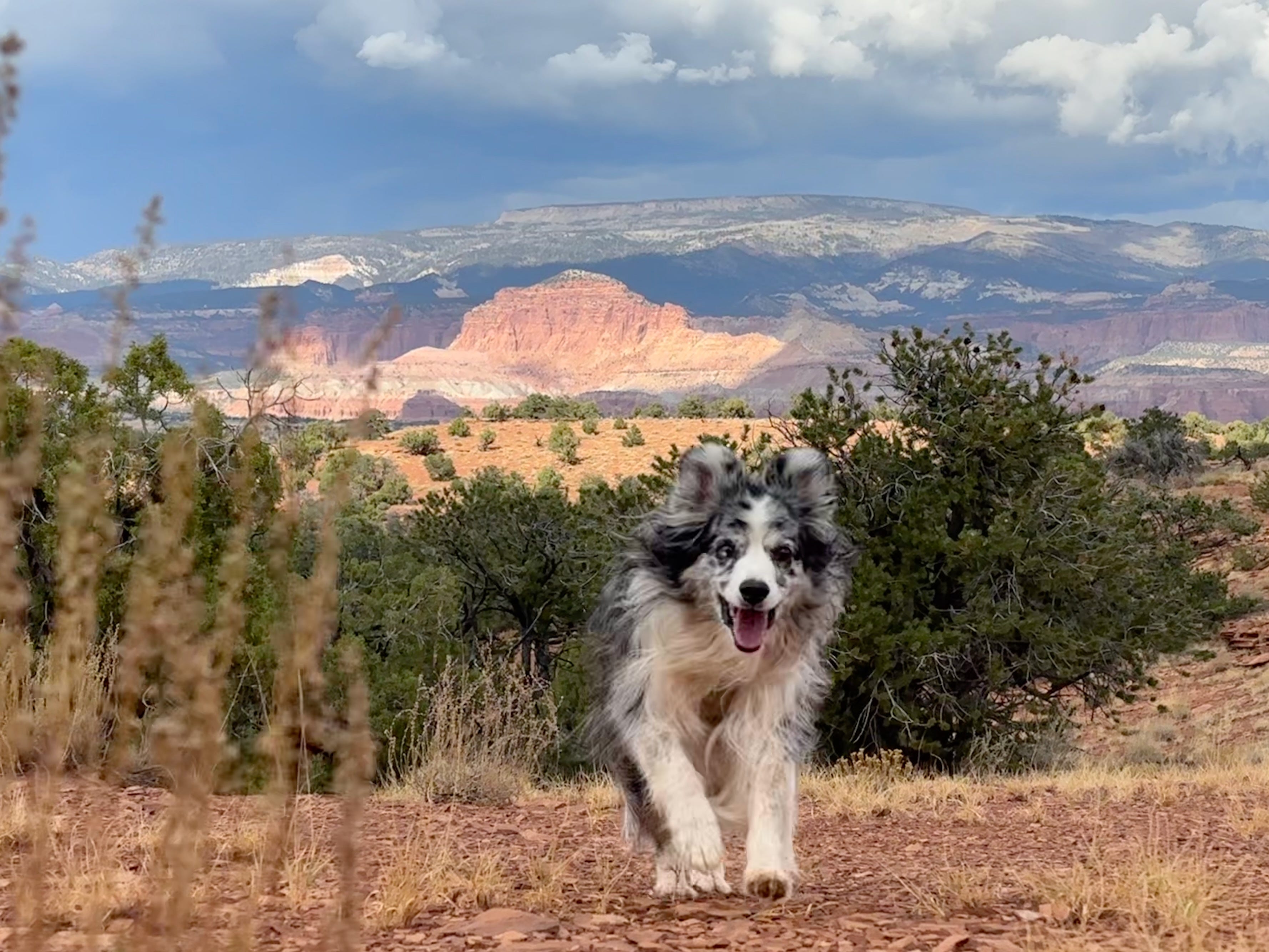 The Beacon of EverWonderous Light by Amiee Maxwell