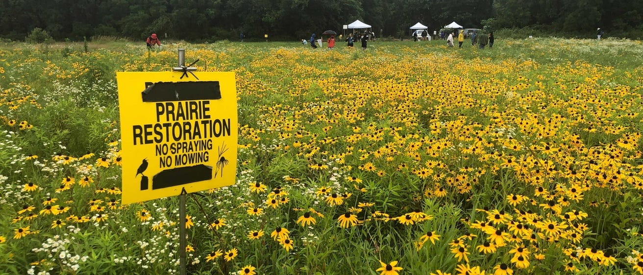 Hello from the prairie! by Bethany Kaylor