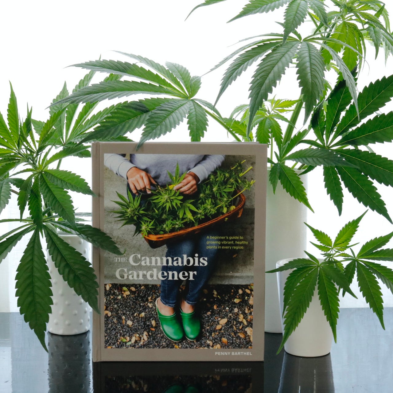 The Cannabis Gardener