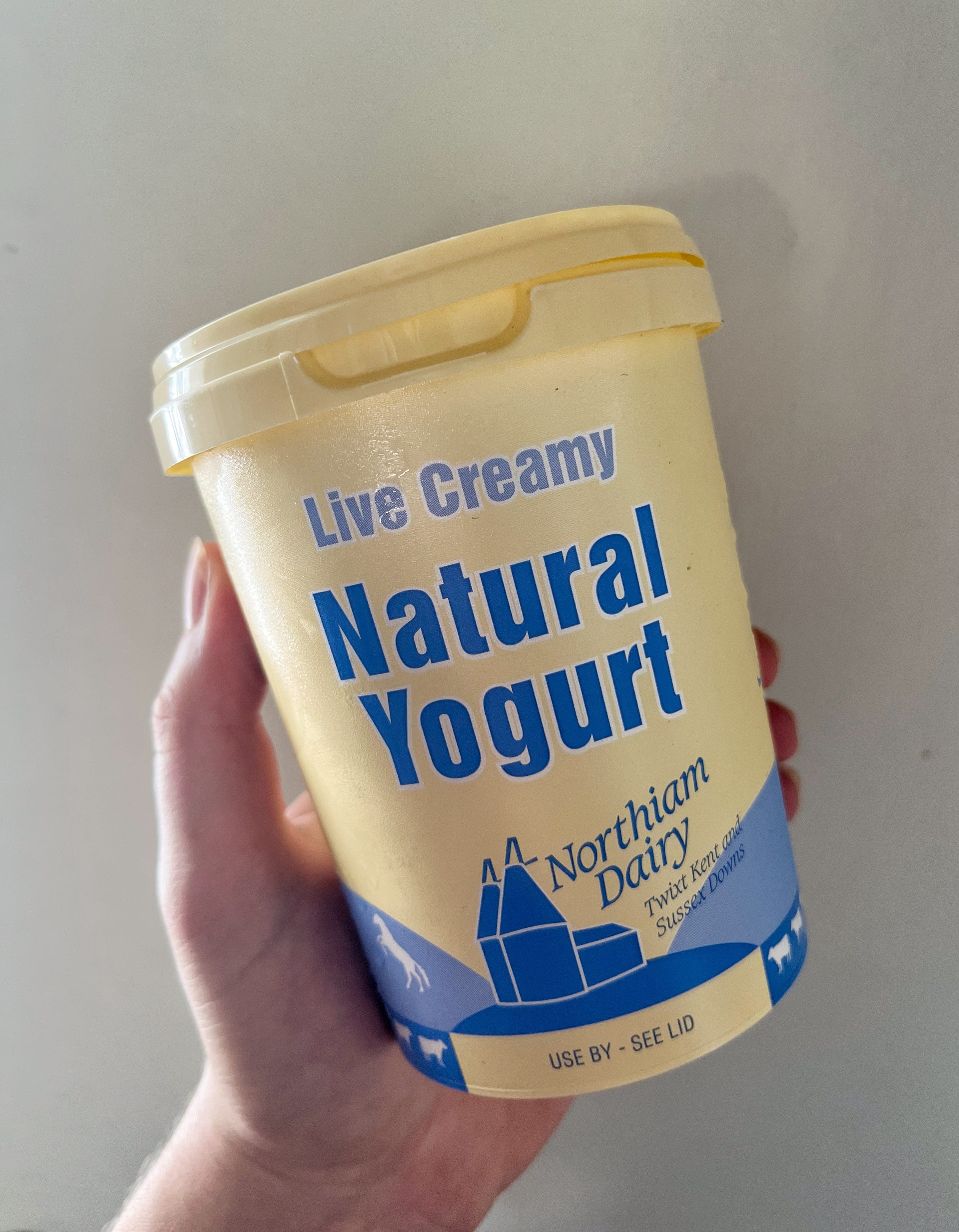 Yogurt Natural - undefined