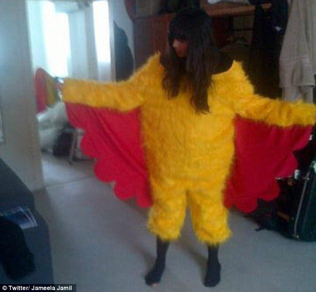 sexy chicken suit Chicken Costume for Adults main image 0