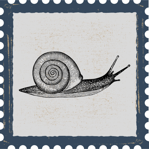 Snail Mail