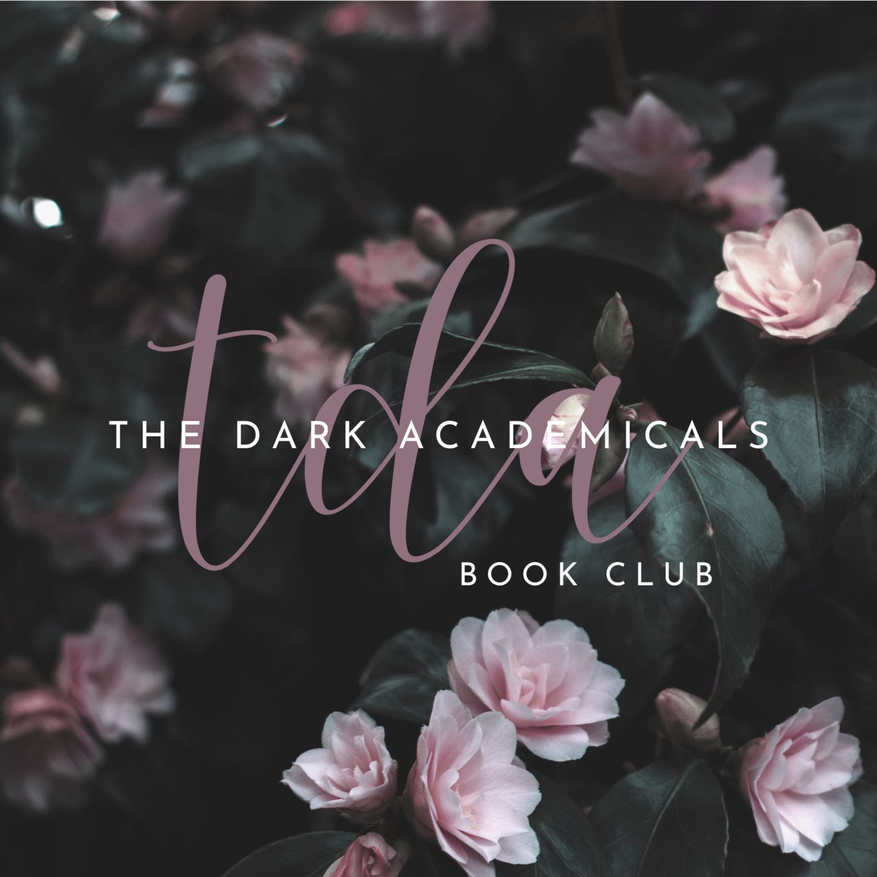 The Dark Academicals Book Club logo