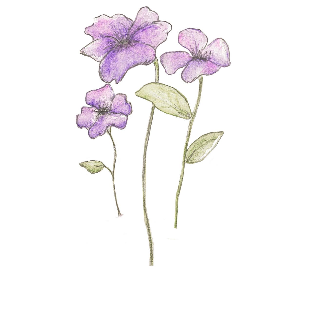 Wild Purple Flowers logo