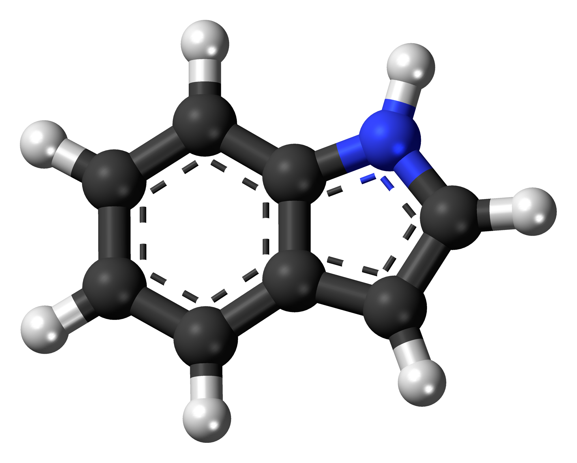 Amino Acids | SpringerLink