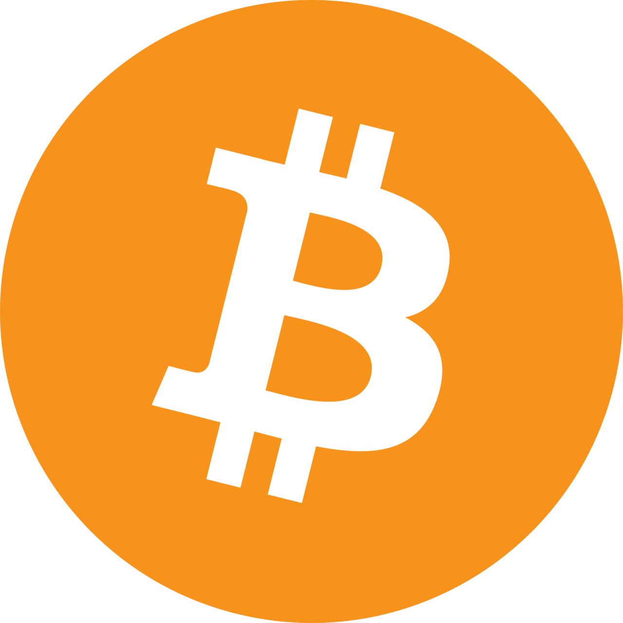 Bitcoin Product Community's Substack logo