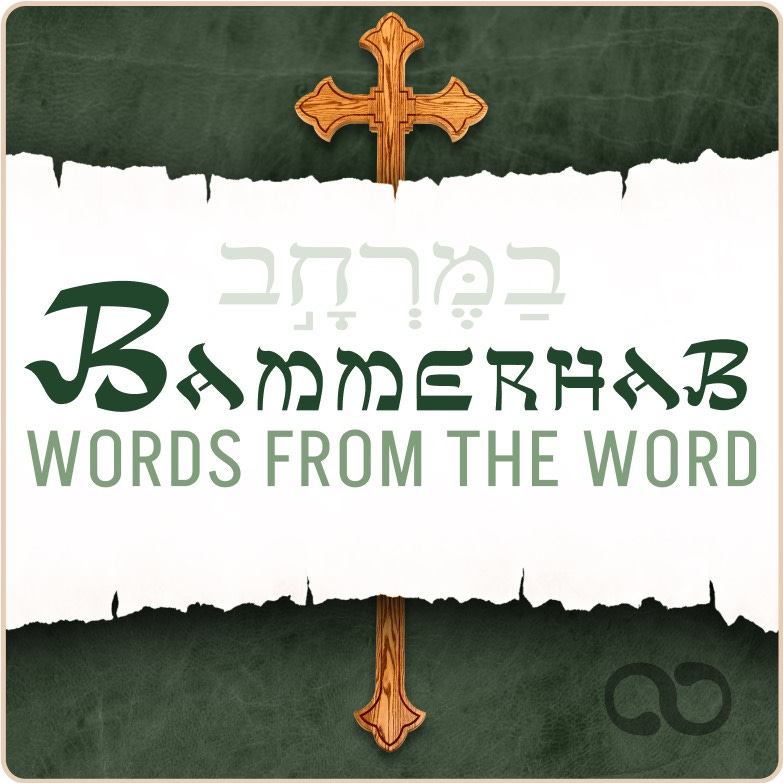 Bammerhab - Words from the Word logo