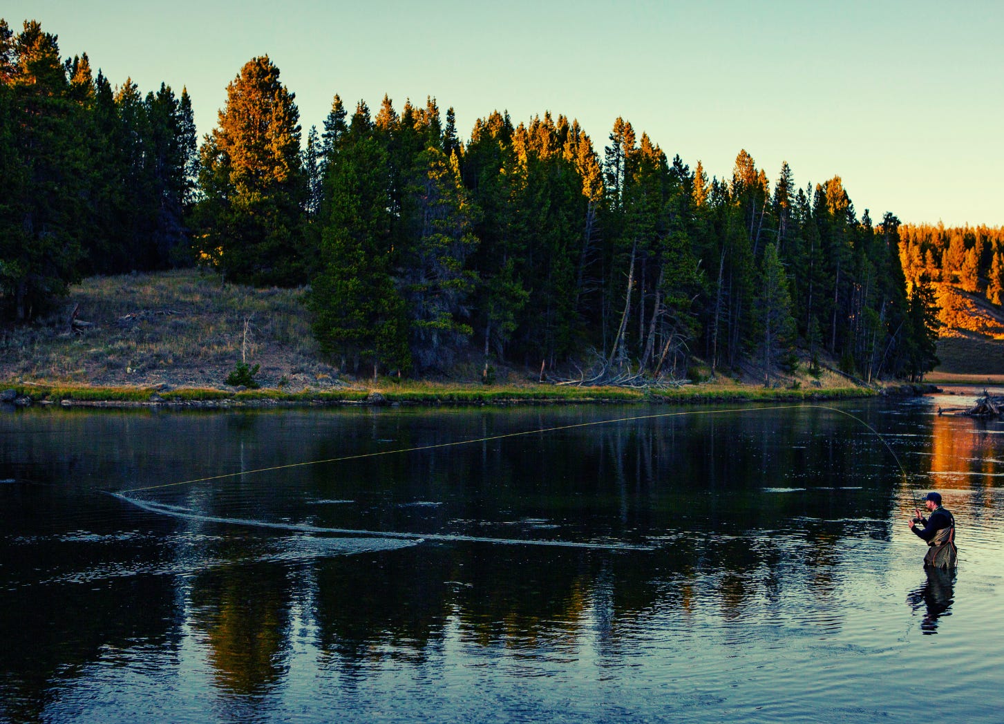 Fly Fishing Yellowstone National Park's Untamed Wilderness