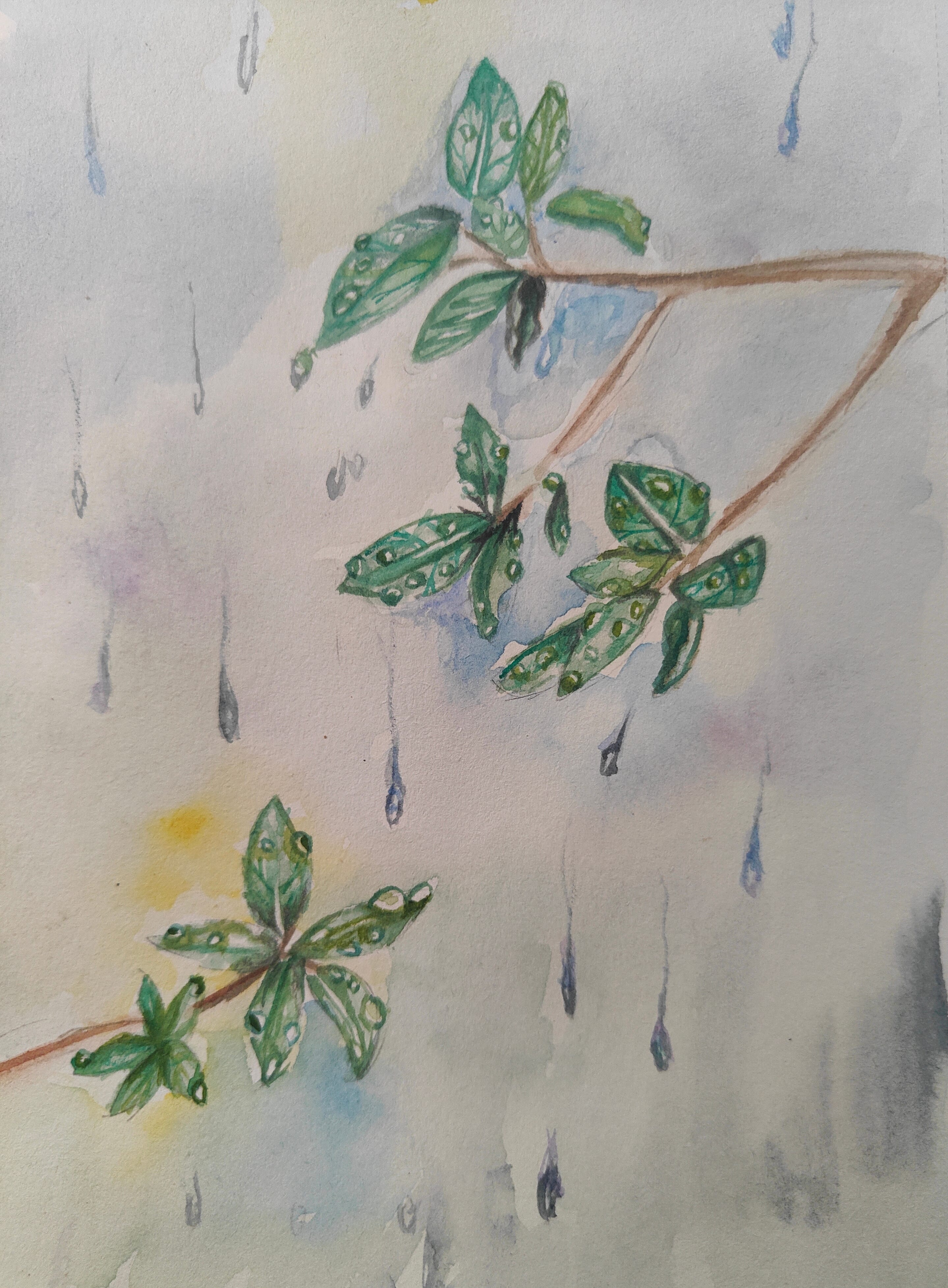 Pitter Patter by Khushi Solanki Khushi’s Substack