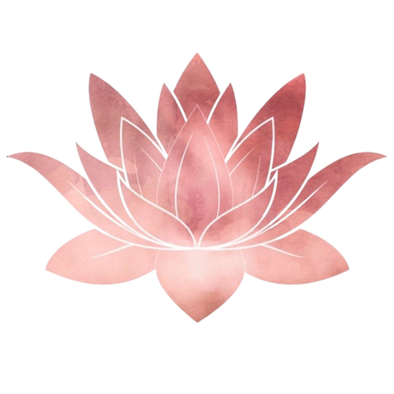 Lotus & Phoenix Newsletter