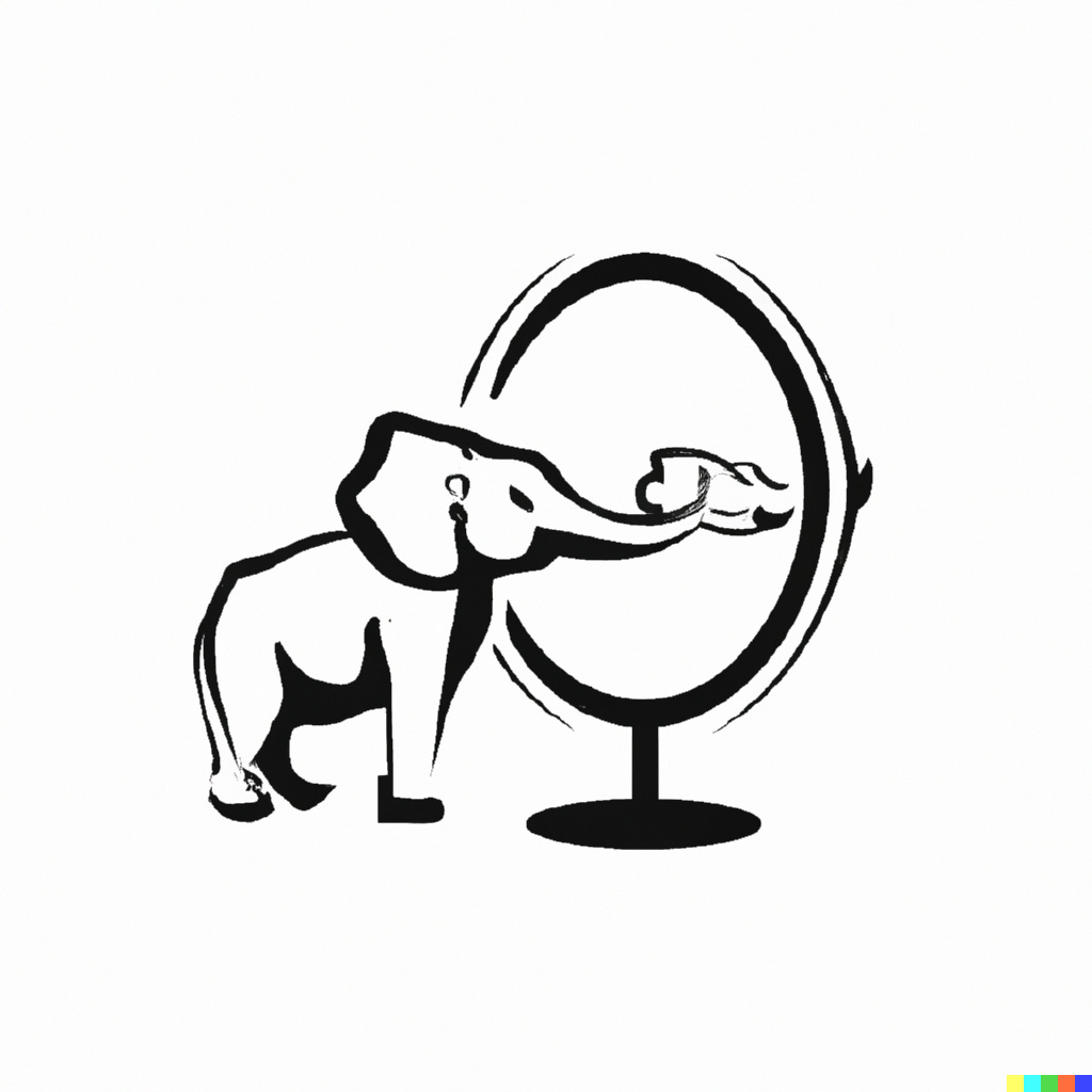 Elephant in the Mirror logo