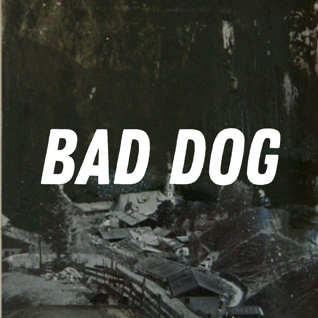 BAD DOG logo