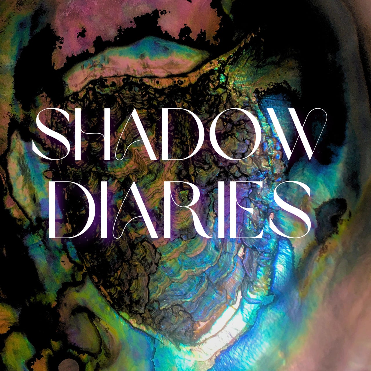 Artwork for Shadow Diaries
