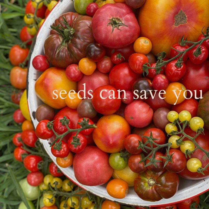 On Frost, & Seeds to Save at September's End