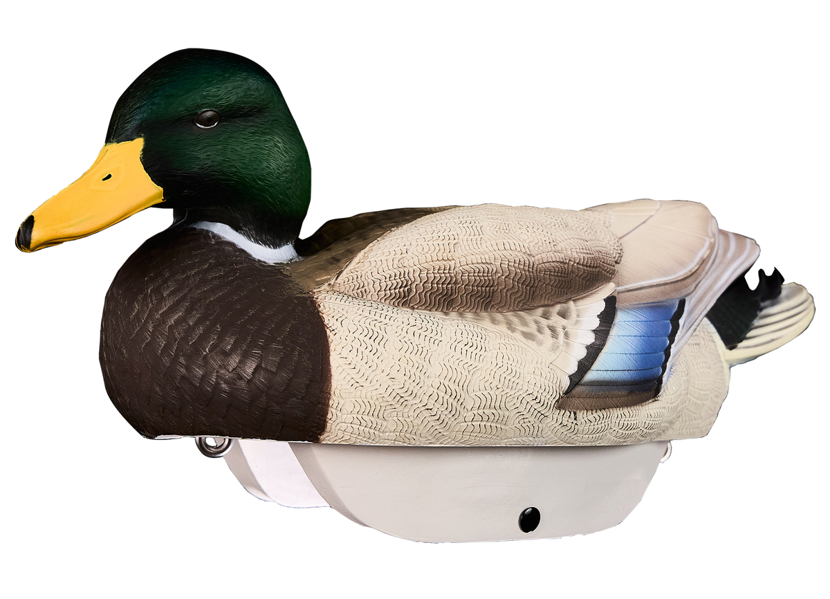 Holly's End-of-Season Duck Gear Review - by Holly Heyser