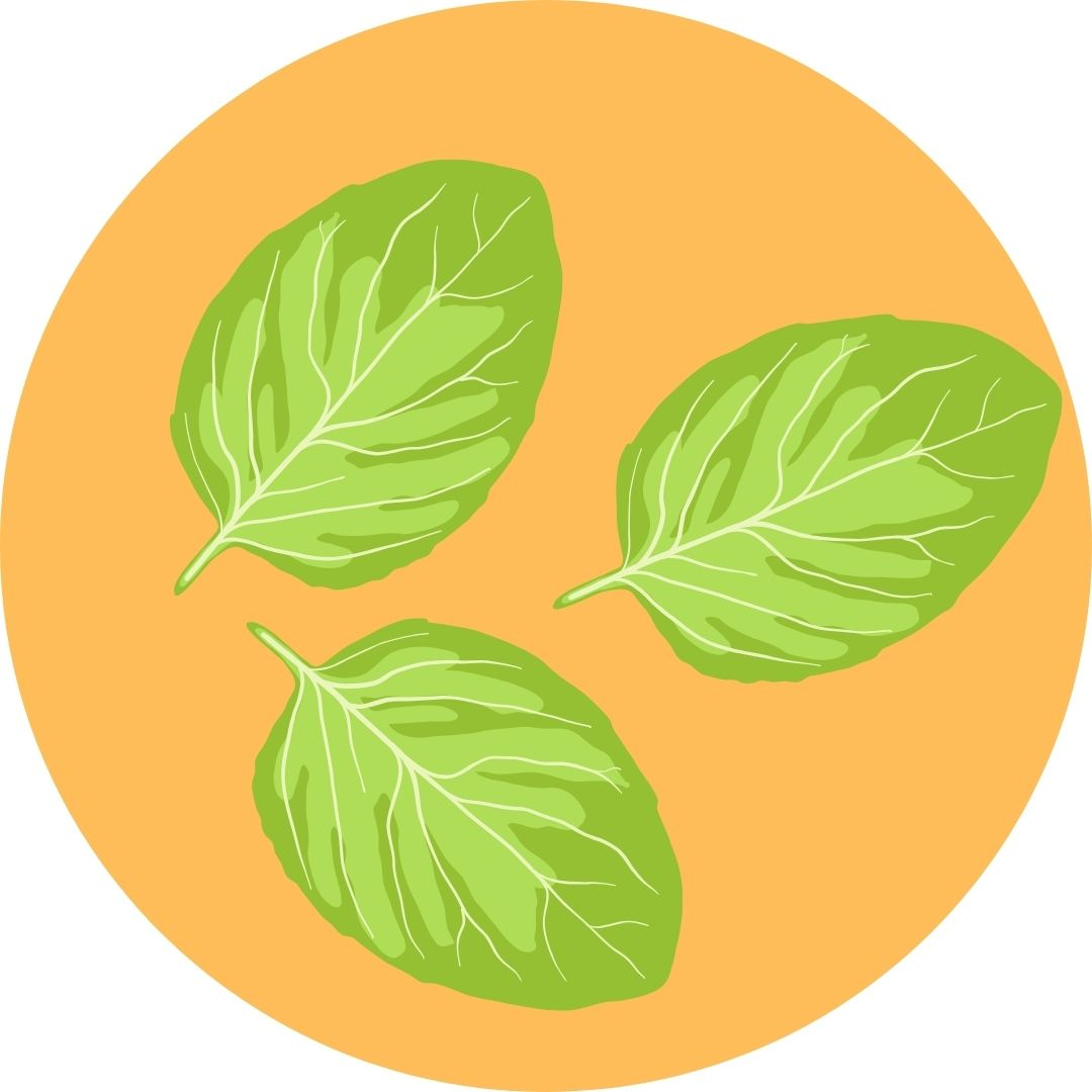 Basil and Honey logo