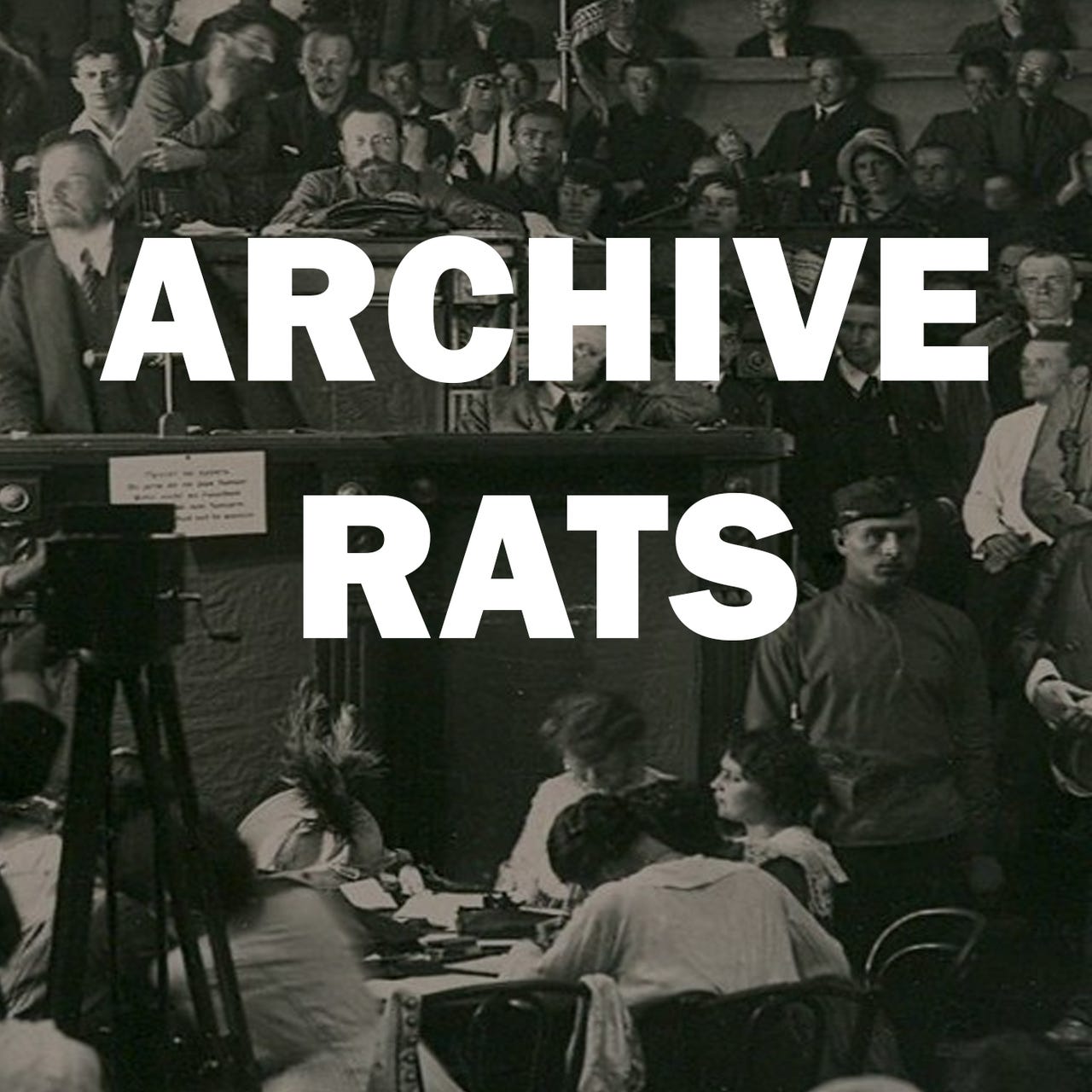 Archive Rats