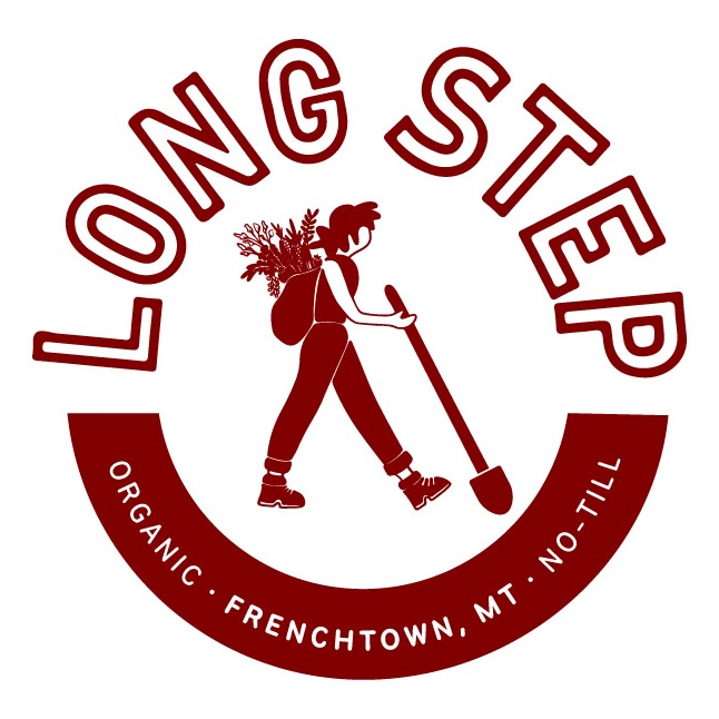 Long Step Chronicles logo