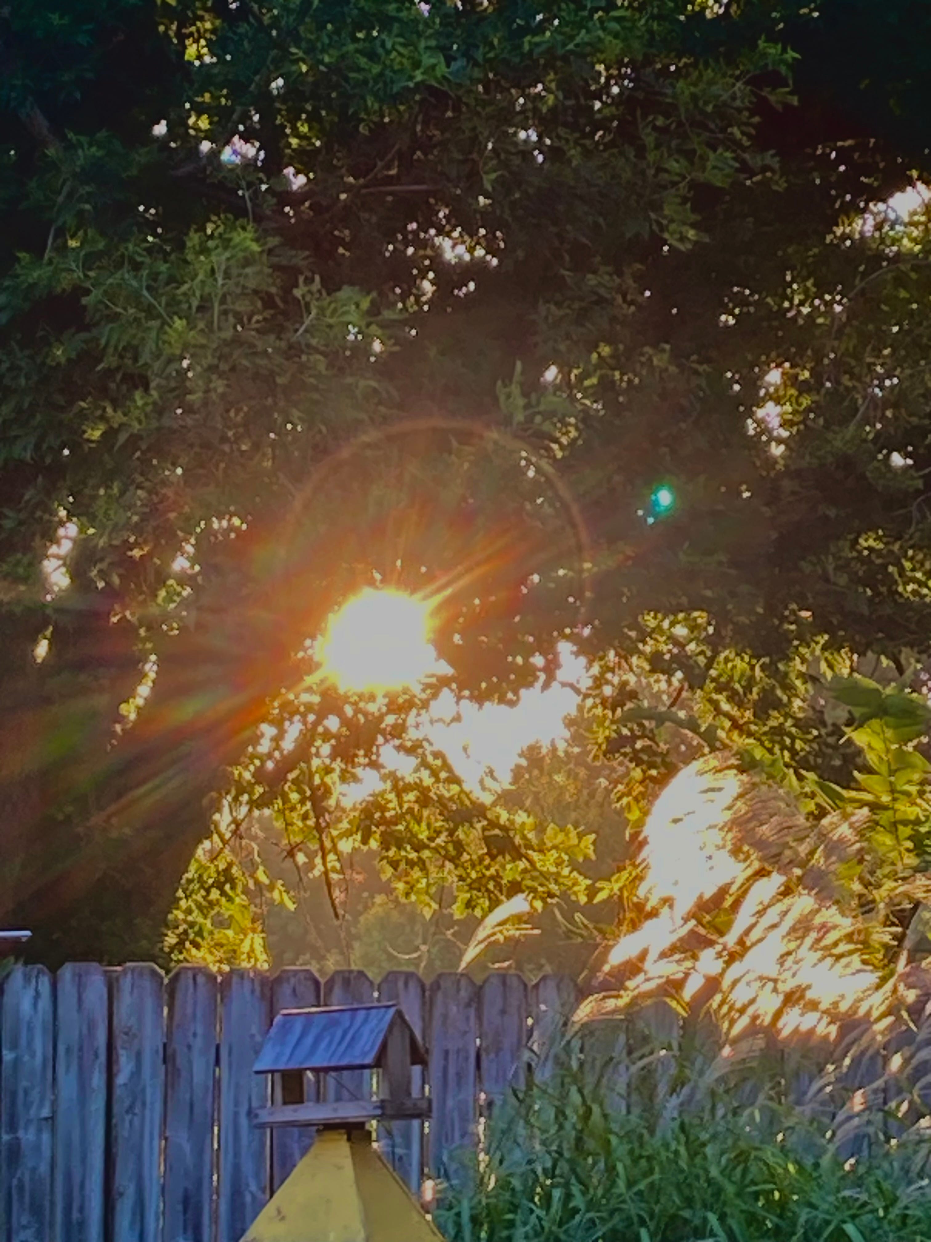 The Sound of Silence… by DownOnMainstreet