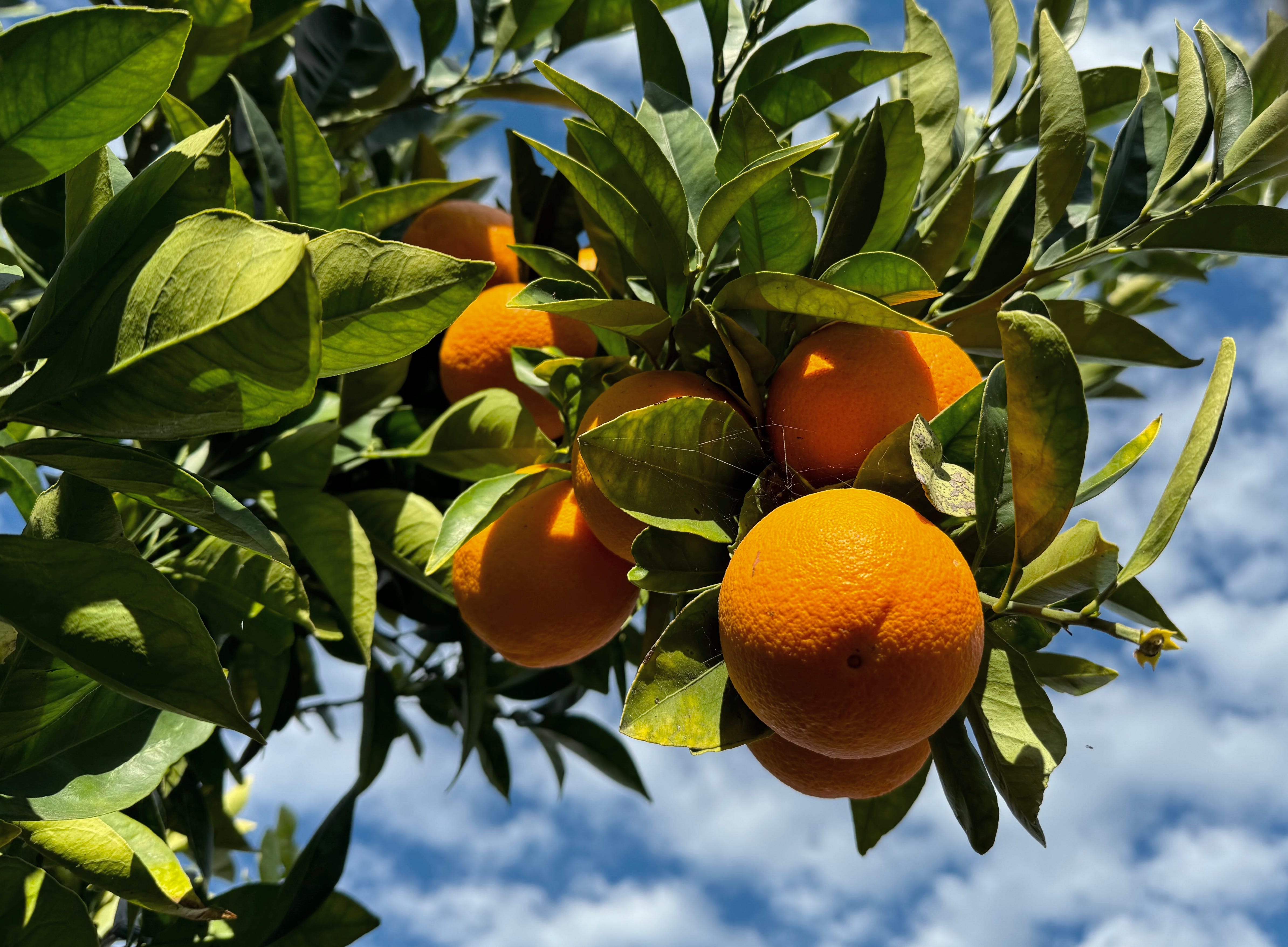 Sunday E-dition: What Remains – An Easter Story