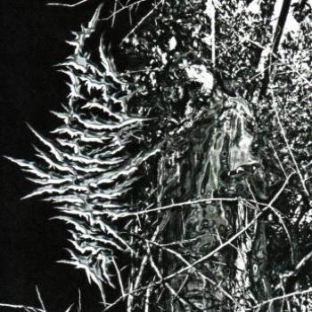 Encyclopaedia Metallum: The Metal Archives • View topic - Blindfolded and  Led to the Woods (New Zealand)