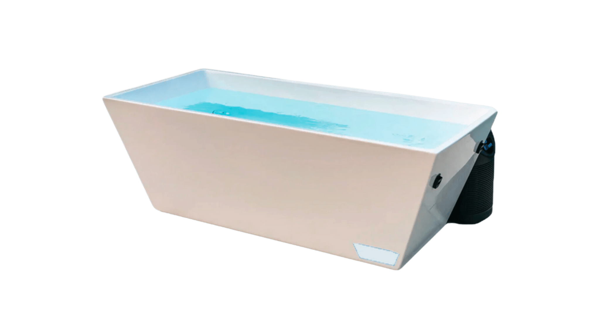 Beginner's Mind by Rabbitwolf Creative Content Farm