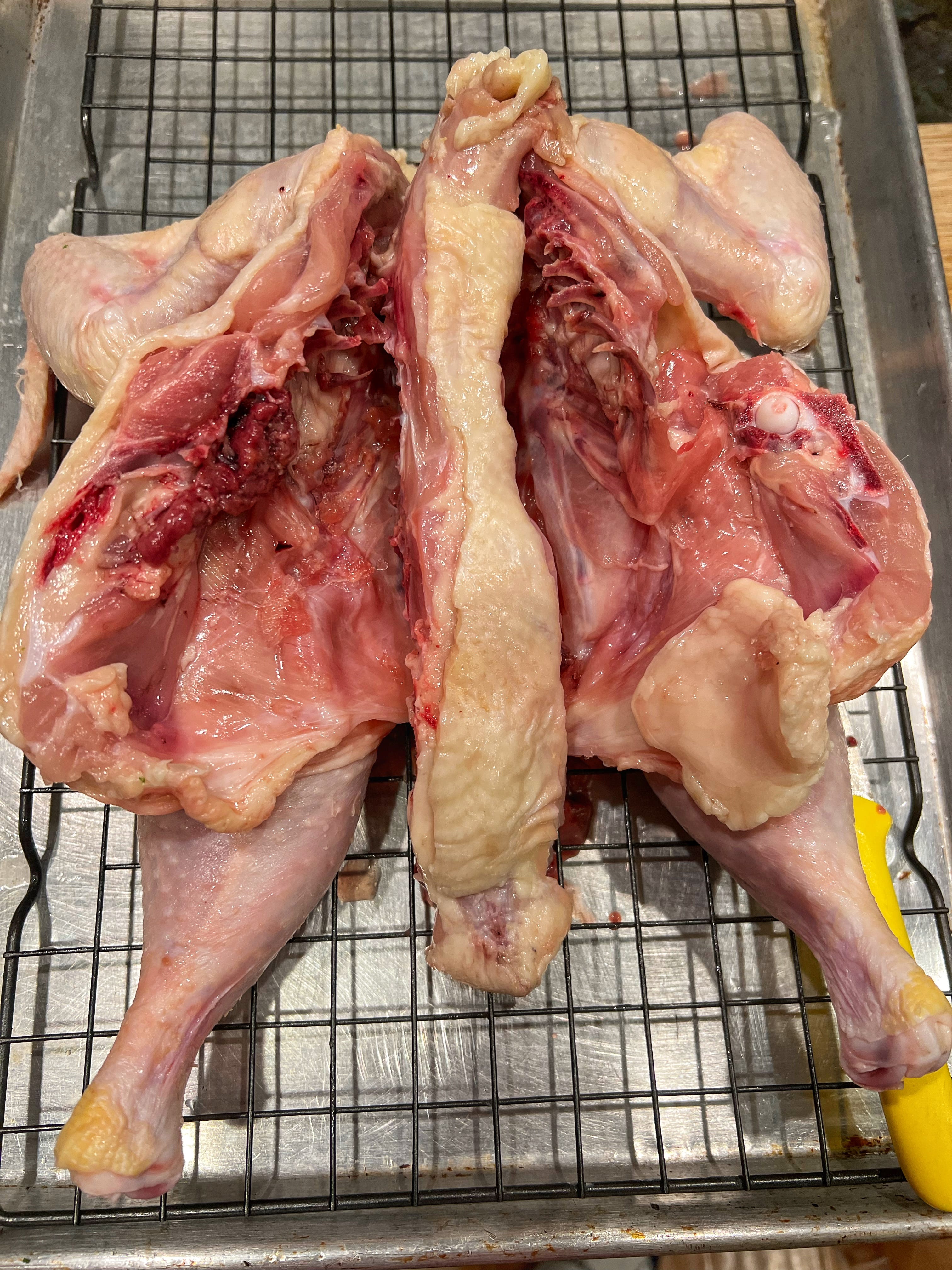 Spatchcock Chicken, birds, chicken meat, 3 birds, 1 probe. Very  impressive @bitemebbq! 🤩 Share your #MEATER cooks with us too and use the  #MEATERmade hashtag!, By MEATER