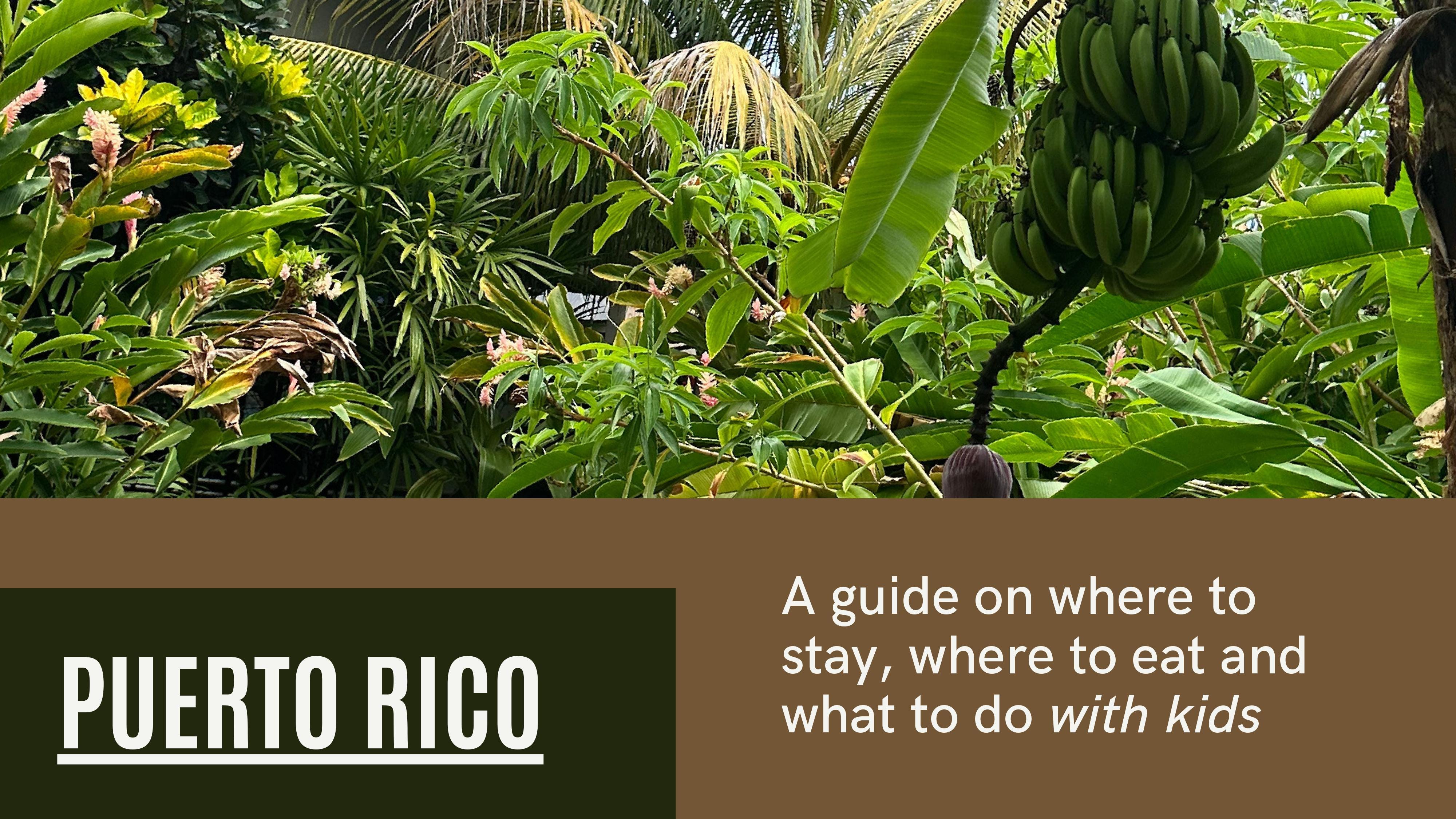 Puerto Rico Recommendations with Kids - by Lynzy